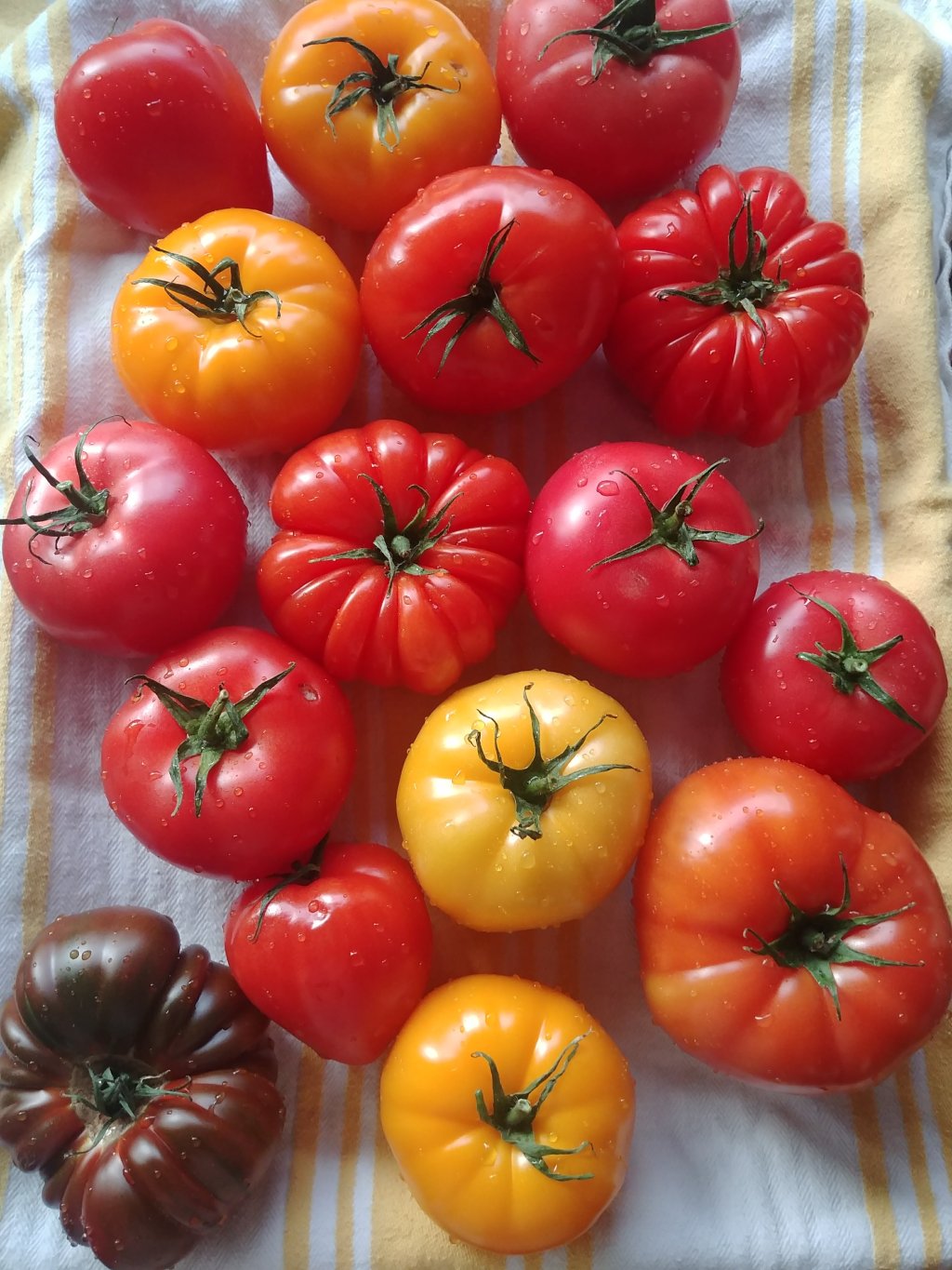 summer preview salad