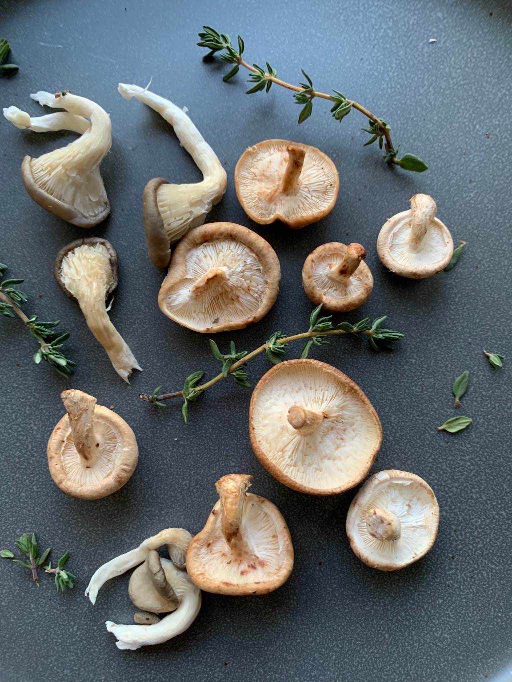 astellar chicken + wild mushrooms + white wine pan sauce + garlic butter egg&nbsp;noodles